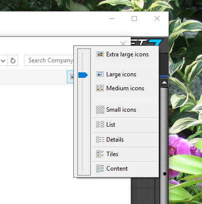 Screen shot of Windows folder view options.