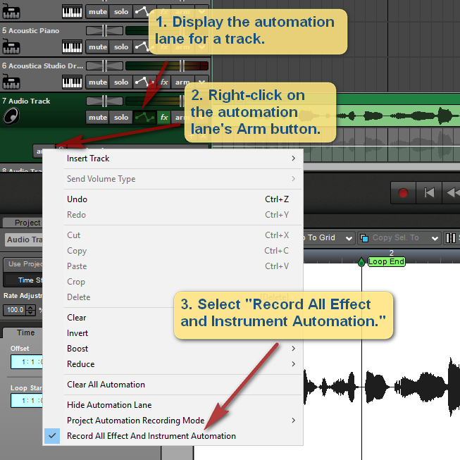 Record All Effect and Instrument Automation.