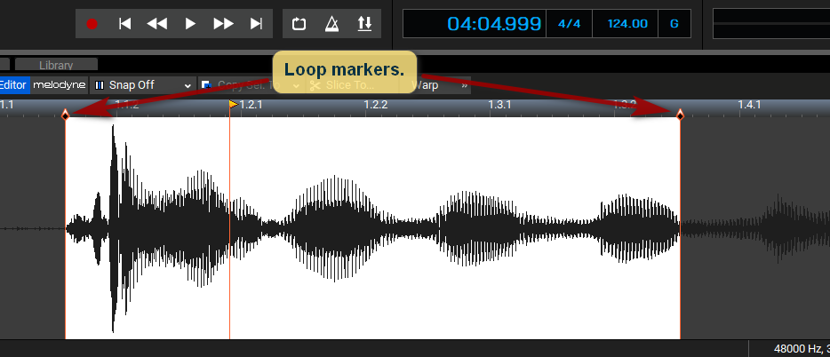 Loop markers in Mixcraft 9.