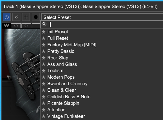 Bass Slapper VST3 presets
