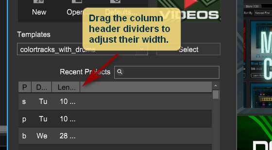 Resize column dividers for the recent project list.